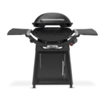 Weber Family Q+ Q3100N+ LPG in Midnight Black