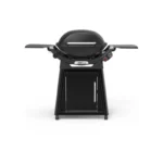 Weber Family Q+ Q3100N+ LPG in Midnight Black